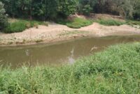 Kondisi Sungai Cidurian, hitam dan bau.
