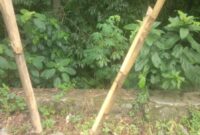 RUSAK: Baliho alat peraga kampanye milik salah satu caleg PDI Perjuangan yang diduga dirusak orang tak bertanggungjawab.