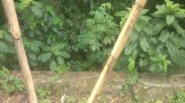 RUSAK: Baliho alat peraga kampanye milik salah satu caleg PDI Perjuangan yang diduga dirusak orang tak bertanggungjawab.