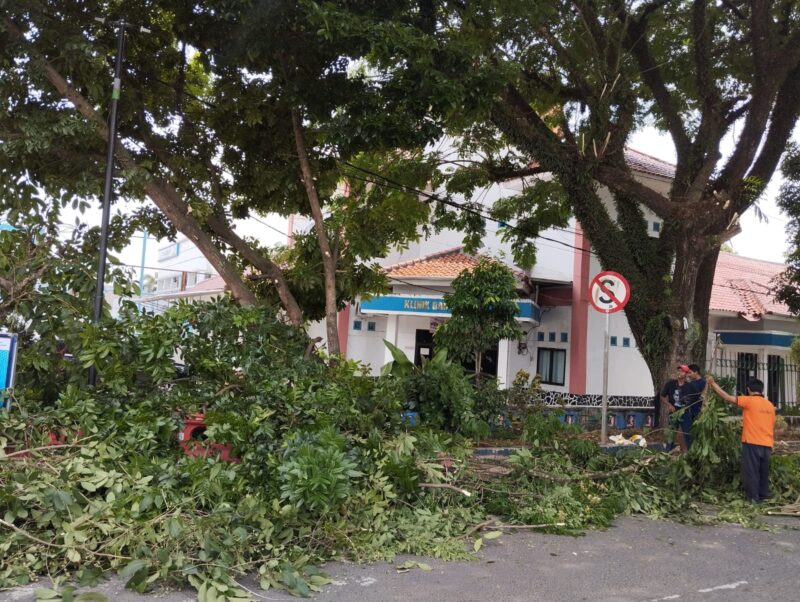Dinas Lingkungan Hidup setempat saat melakukan pemangkasan pohon di tepi jalan dan sepanjang jalan protokol di wilayah Rangkasbitung.