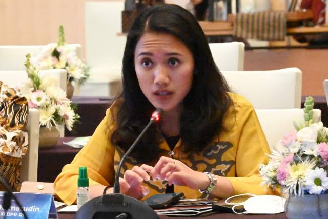 Anggota Komisi XI DPR RI, Puteri Komarudin