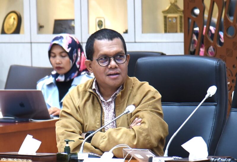 Wakil Ketua Komisi IX DPR RI Emanuel Melkiades Laka Lena 