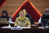 Wakil Ketua Komisi X DPR RI, Hetifah Sjaifudian