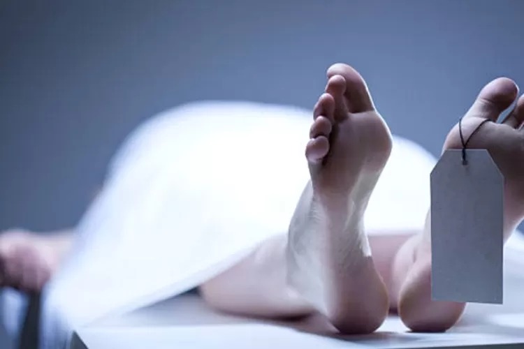 foto ilustrasi (ist)